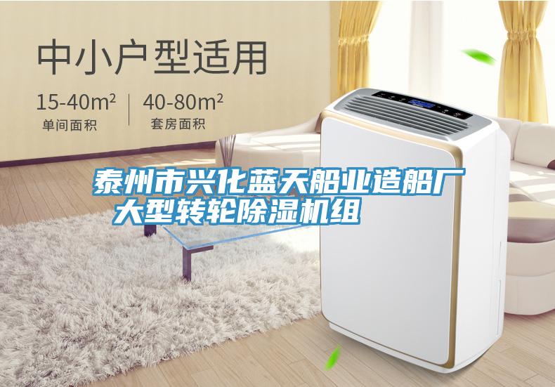 泰州市興化藍天船業(yè)造船廠 大型轉輪除濕機組