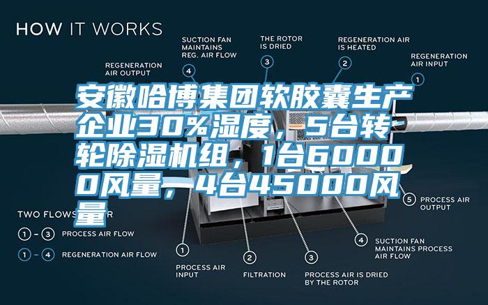 安徽哈博集團(tuán)軟膠囊生產(chǎn)企業(yè)30%濕度，5臺轉(zhuǎn)輪除濕機(jī)組，1臺60000風(fēng)量，4臺45000風(fēng)量