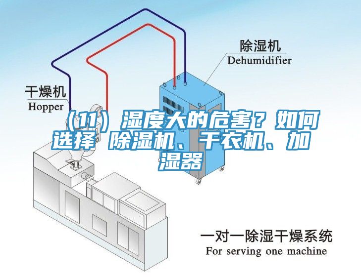 （11）濕度大的危害？如何選擇 除濕機(jī)、干衣機(jī)、加濕器