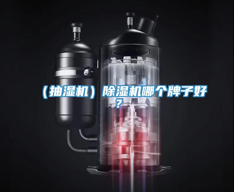 （抽濕機）除濕機哪個牌子好？