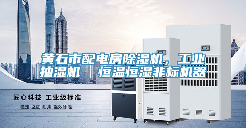 黃石市配電房除濕機，工業抽濕機  恒溫恒濕非標機器